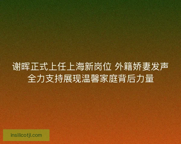 谢晖正式上任上海新岗位 外籍娇妻发声全力支持展现温馨家庭背后力量