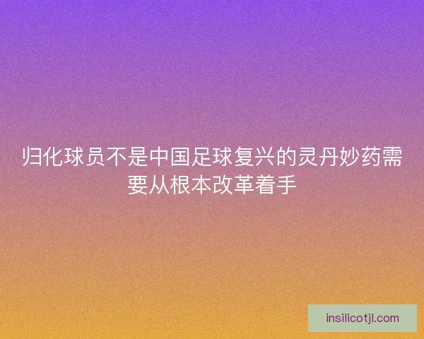 归化球员不是中国足球复兴的灵丹妙药需要从根本改革着手