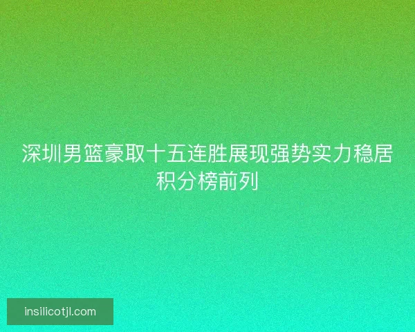 深圳男篮豪取十五连胜展现强势实力稳居积分榜前列