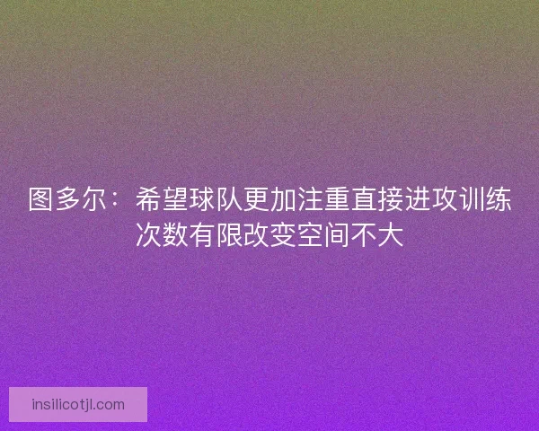 图多尔：希望球队更加注重直接进攻训练次数有限改变空间不大