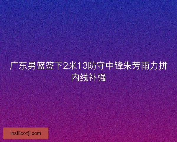 广东男篮签下2米13防守中锋朱芳雨力拼内线补强